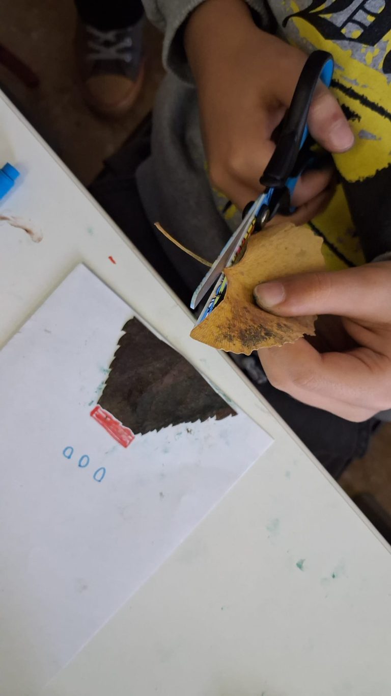 Educazione ecologica nelle scuole: moda, cibo e biodiversità nel campo.